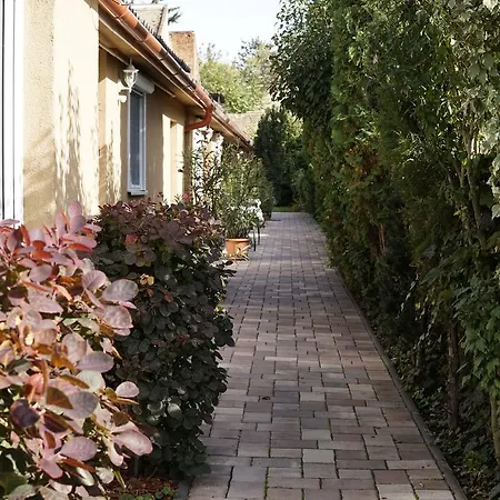 Guest house Peterfia Panzio Debrecen