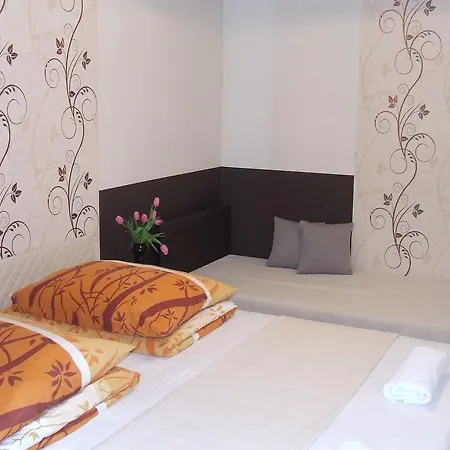 Guest house Peterfia Panzio *