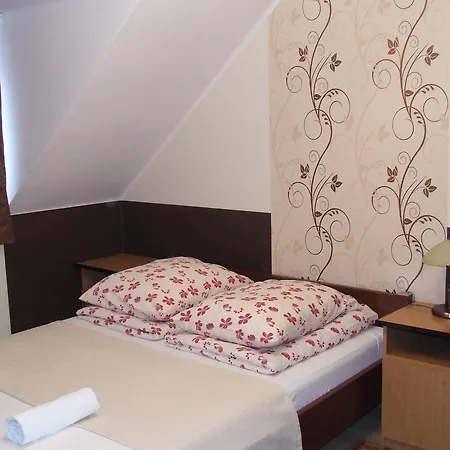 Peterfia Panzio Guest house *