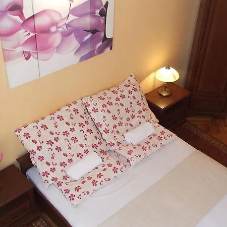 Peterfia Panzio * Debrecen