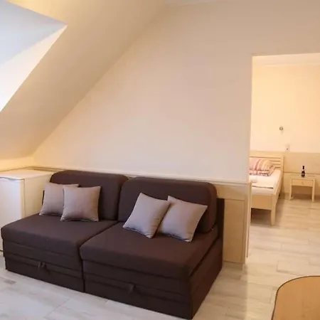 Peterfia Panzio 게스트하우스 3*