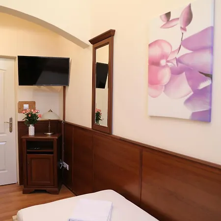 Peterfia Panzio 게스트하우스 데브레첸