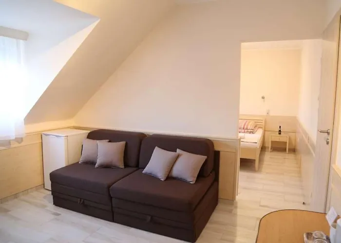 Peterfia Panzio 게스트하우스 3*