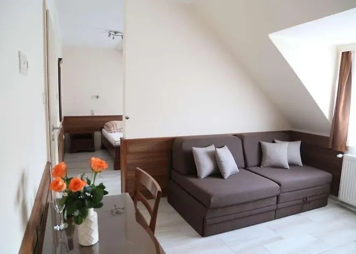 Peterfia Panzio Guest house 3*