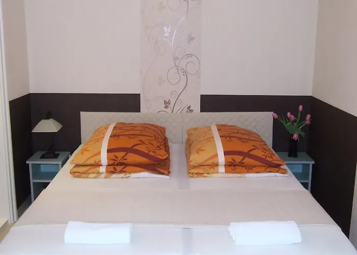 Peterfia Panzio 게스트하우스