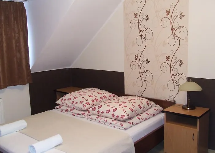 Peterfia Panzio 게스트하우스 3*