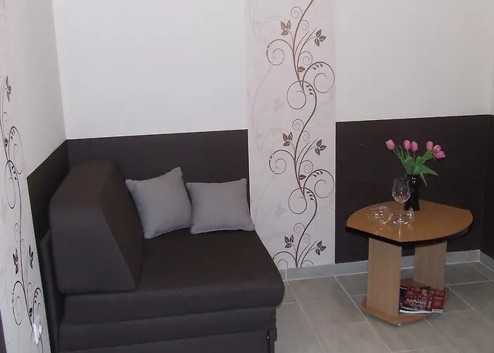Peterfia Panzio 3* Debrecen